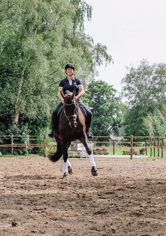 Schrikken pantoffel Lodge Riana Snel - Horse in harmony - Dressuur instructie - Training van paarden